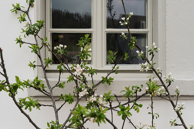 Gehoerlosendorf 014 770 x 513