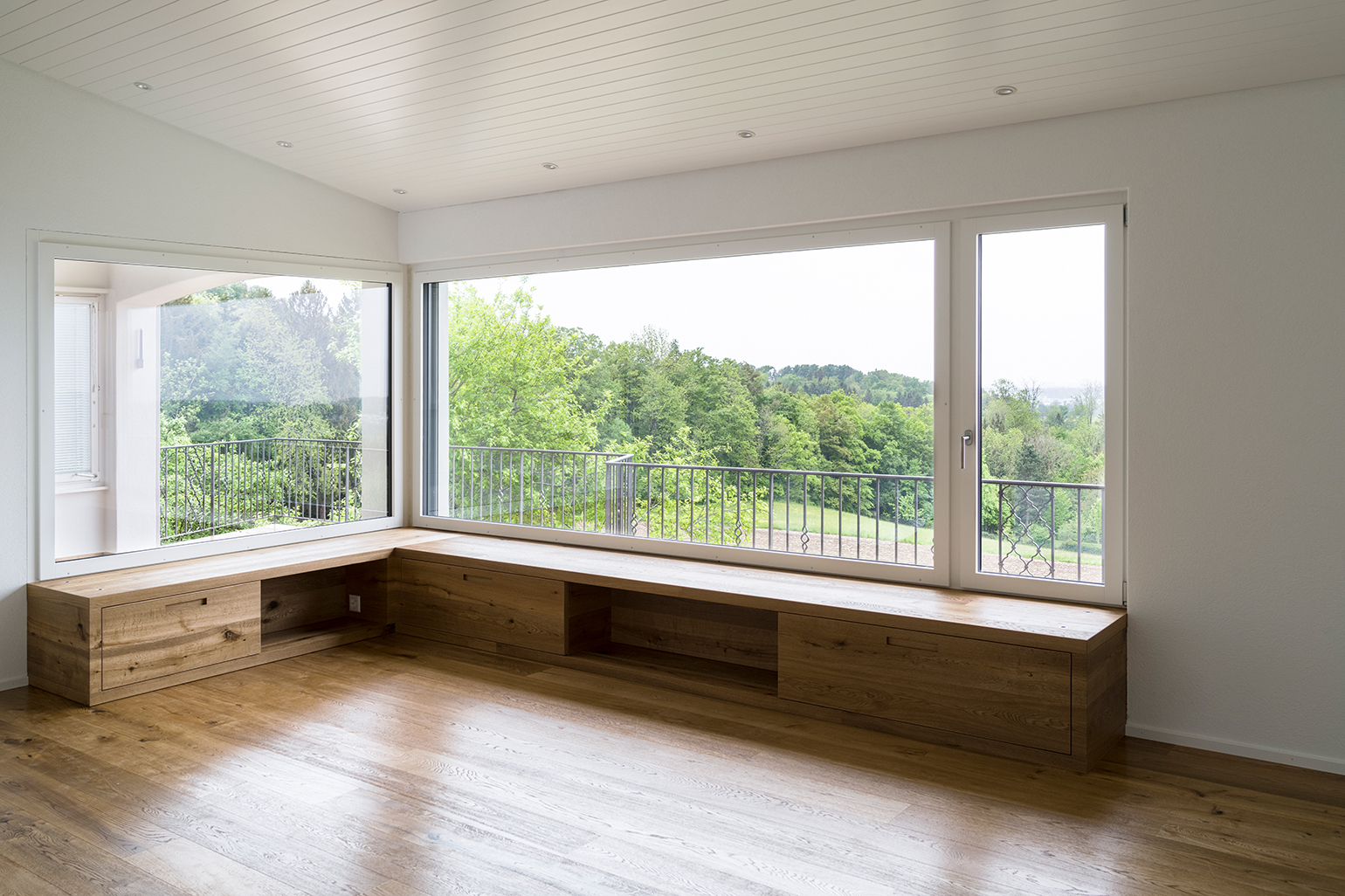 2010 02 Auslikon 0212 1540 x 1026 v2