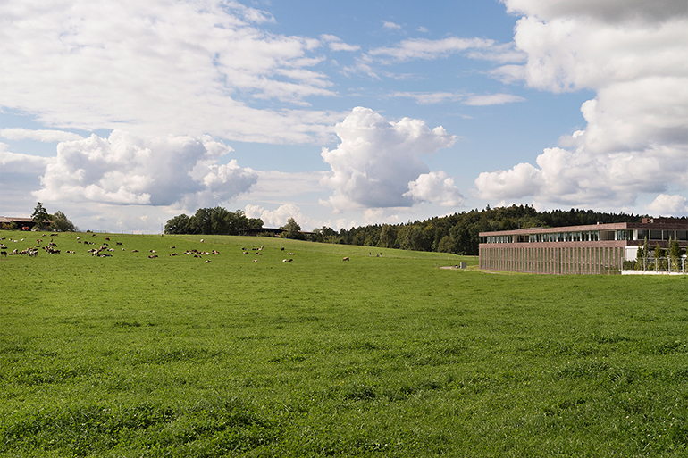 Ganymed II 002 770 x 513