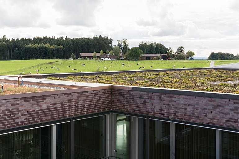 Ganymed II 014 770 x 513